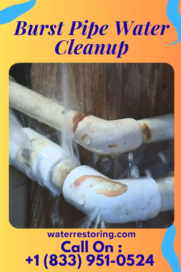 Burst Pipe Water Cleanup in Tappahannock, VA