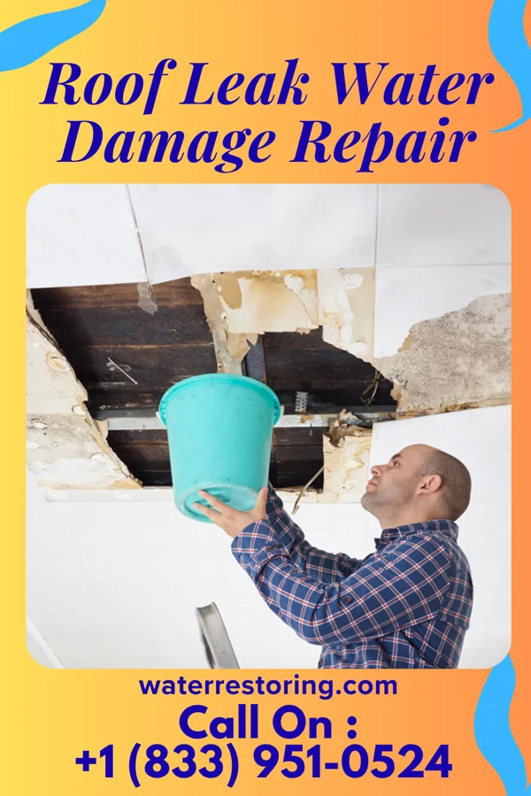 Roof Leak Water Damage Repair in Tappahannock, VA